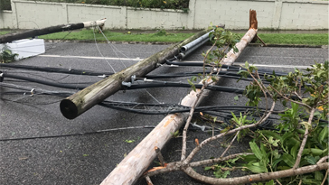image of downed power lines