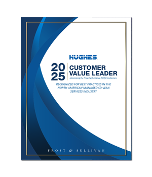 2025 Customer Value Leader