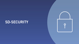 Solutions_Networks_SD-Branch