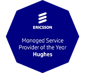 Managed service provider of the year