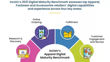 Digital Maturity Infographic Preview