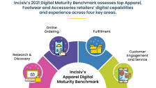 Digital Maturity Infographic Preview