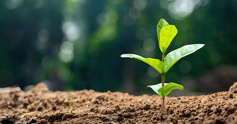 Investing in our Planet Earth Day and Every Day