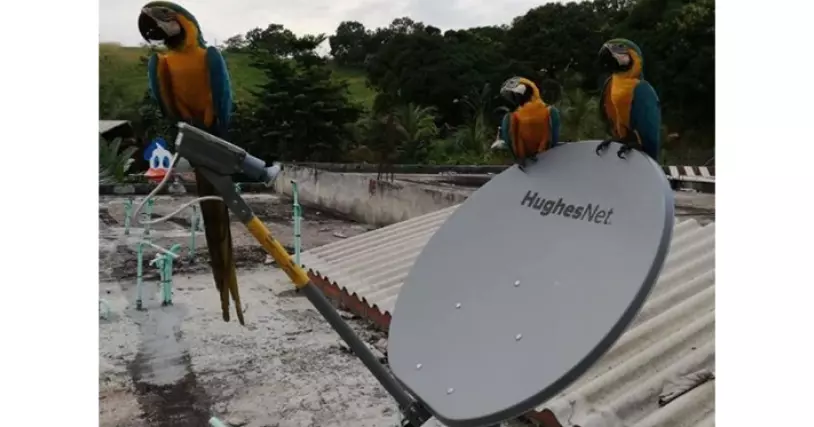 Connectivity in colombia