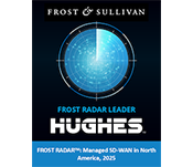 Frost Radar Leader in Managed SD-WAN Award