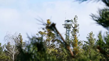 tower in field