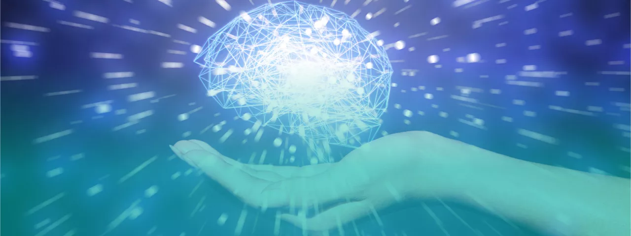 Network management banner