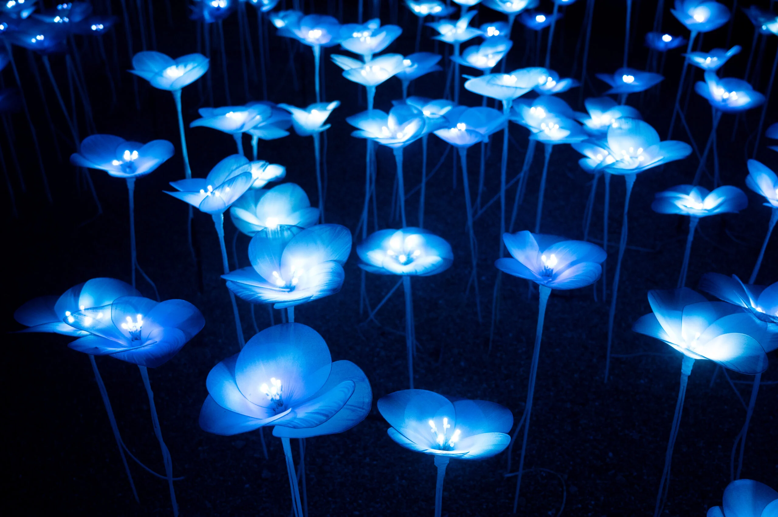 International Women’s Day 2024 – Ashlei’s Story