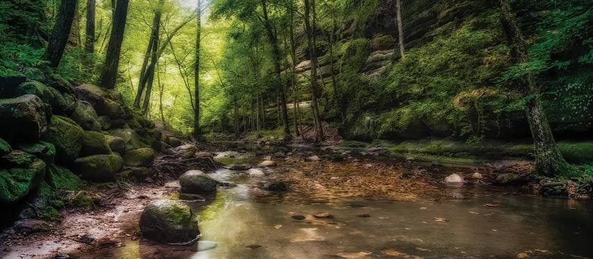 Call of the Wild: Connecting Park Systems with Managed Broadband